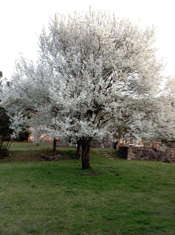 Ktistades Marina'S Stone Cottage מראה חיצוני תמונה